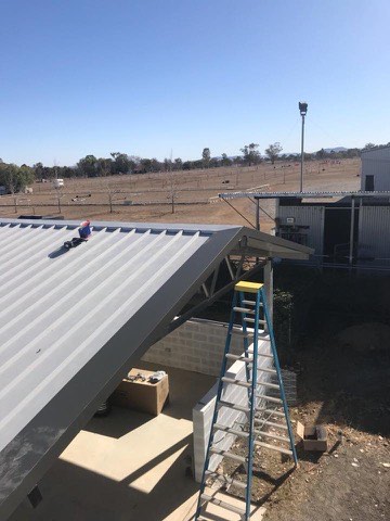 A new steel roof sheet being fixed down on a Tamworth job