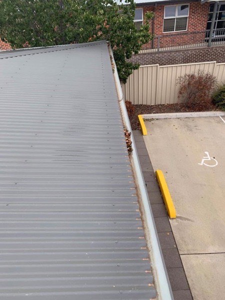 The edge of a steel roof and gutter above a concrete driveway