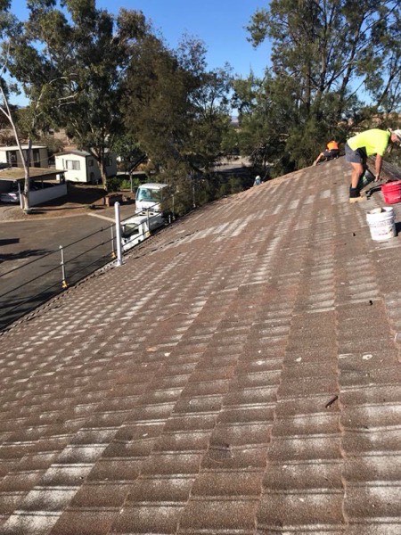Roofers in hi-vis stripping an old tile roof, with gum trees behind
